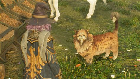 kneazles are most similar to what animal